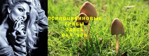 прущие крисы Алзамай