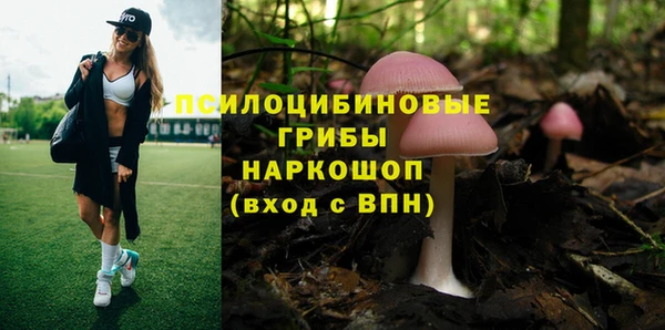 мескалин Пестово
