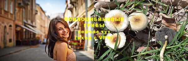 не бодяженный Алексин